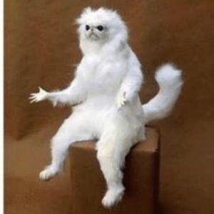 Meet your Posher, Haylee